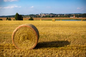 melchiorova-hut-rekreacni-stredisko-ubytovani-plzen-tepla-klaster