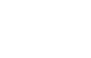 bear-hugs-webdesign